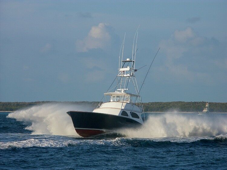 Click to See Next Image